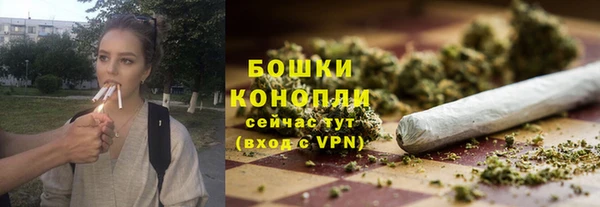 индика Кукмор