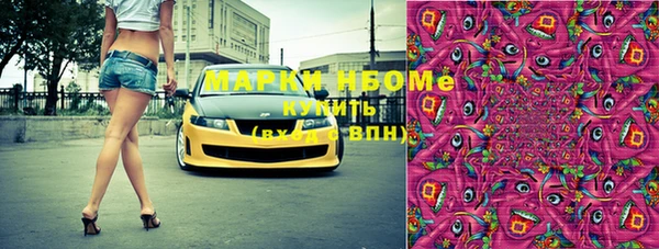 индика Кукмор