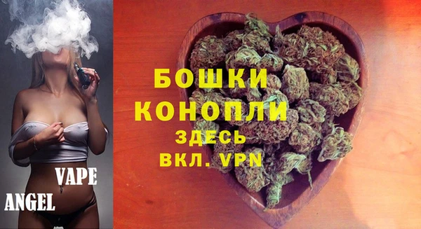 индика Кукмор