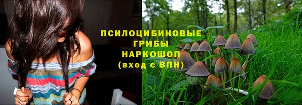 шишки Волгодонск