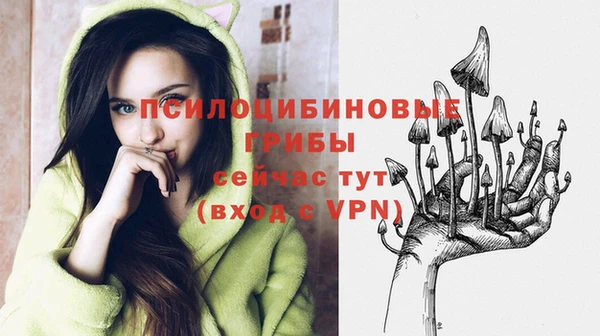 индика Кукмор