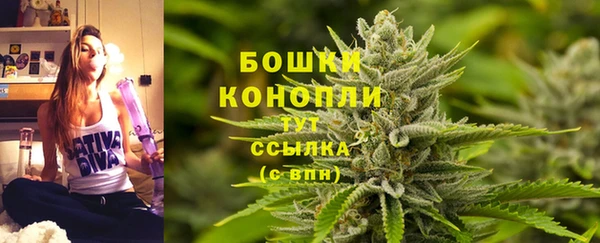 индика Кукмор
