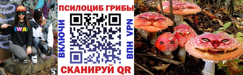 где найти наркотики  Североморск  Псилоцибиновые грибы ЛСД 