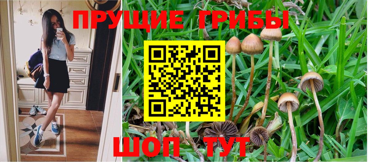 Галлюциногенные грибы Psilocybine cubensis  Вход с VPN  Североморск 