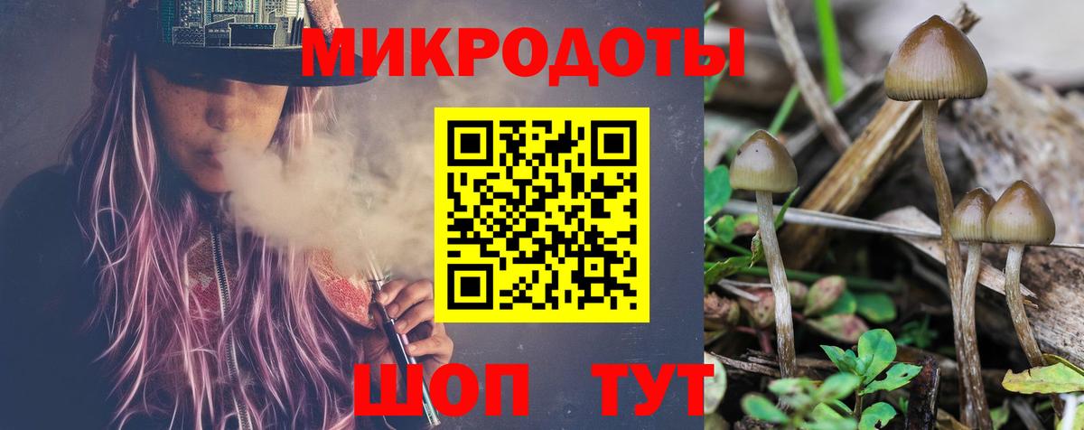 Псилоцибиновые грибы мухоморы Североморск